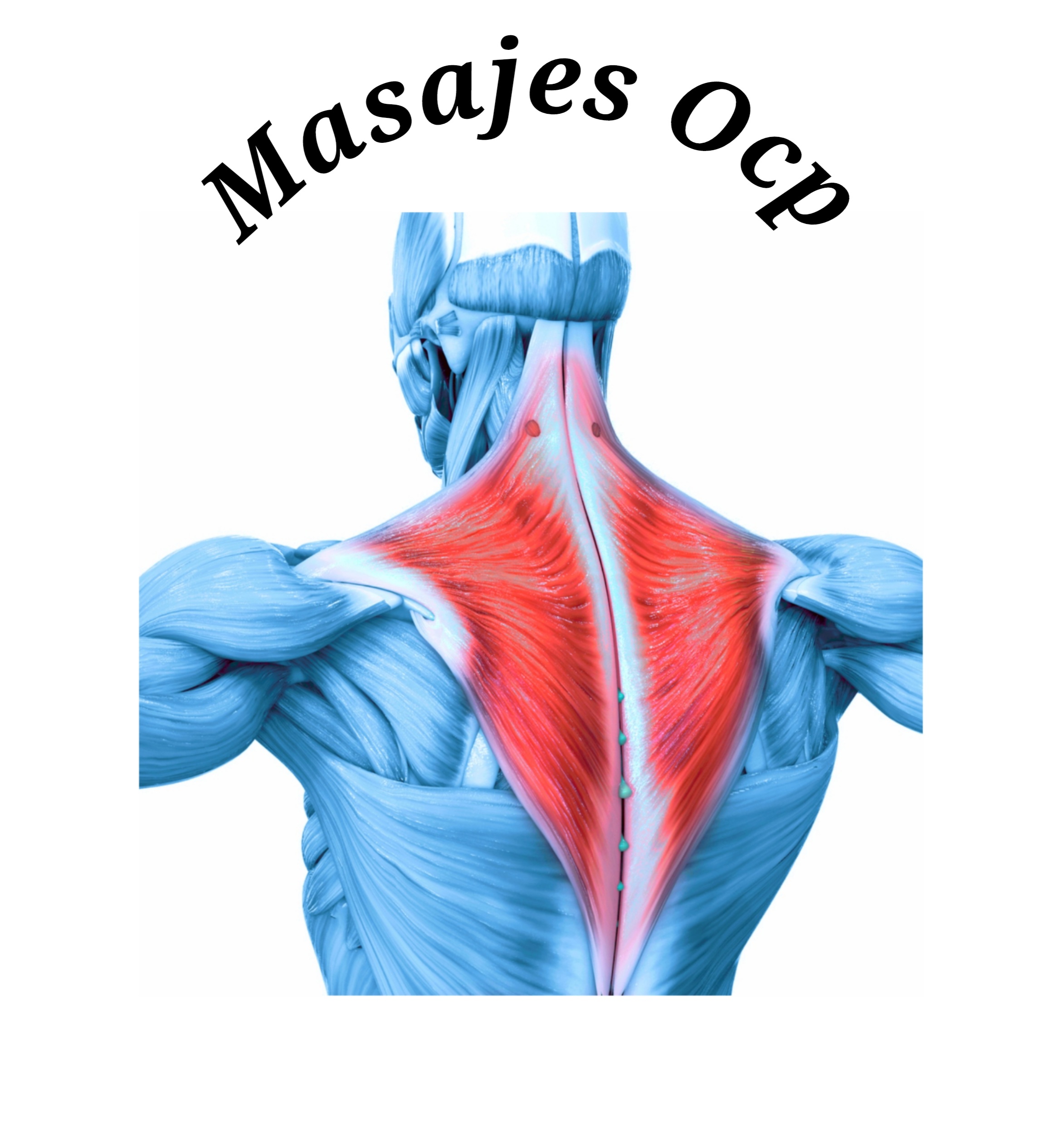 Masajes Ocp